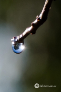 water drops