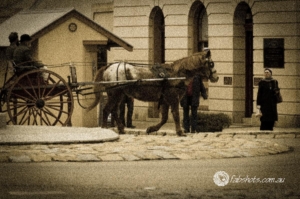 Beechworth horse and cart