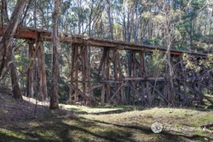 bridge