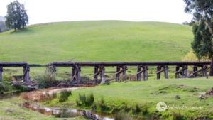 bridge