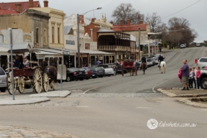 people,horses