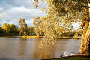 Autumn-10