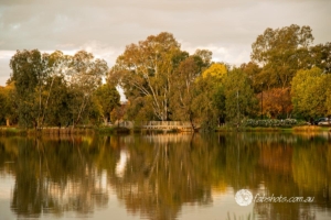Autumn-11
