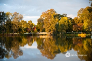 Autumn-12