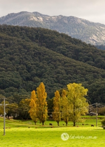 Autumn-16