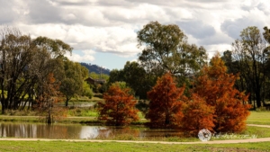 Autumn-38