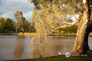 Autumn-9