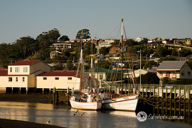 Boats moored