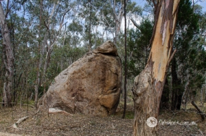 rock