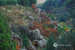Caves and Rocks-4
