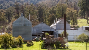 Country scenes-11