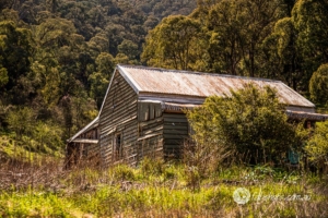 Country scenes-12