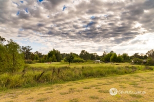Country scenes-18