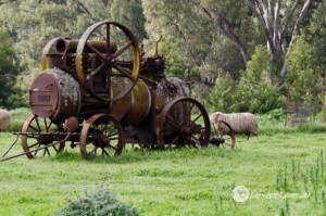 Country scenes-21