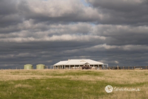 Country scenes-23