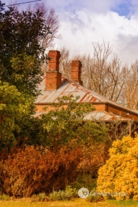 Country scenes-26