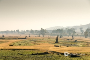 Country scenes-28