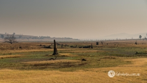 Country scenes-29