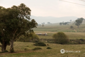 Country scenes-31