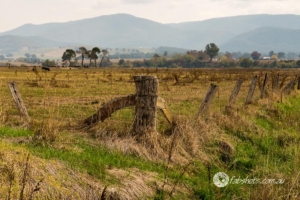 Country scenes-35