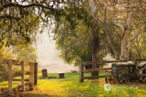 Country scenes-38