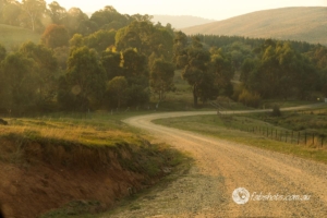 Country scenes-40