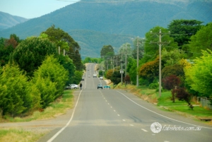 Country scenes-43