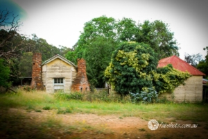 Country scenes-44