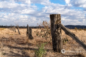 Country scenes-5
