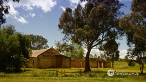 Country scenes-54