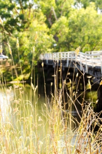 bridge