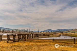 bridge