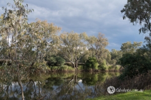 Landscapes Trees Lakes-35