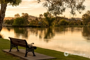 Landscapes Trees Lakes-44