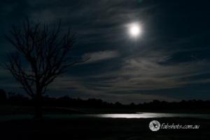 Landscapes Trees Lakes-47