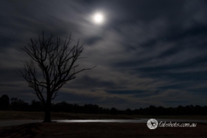 Landscapes Trees Lakes-48
