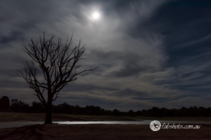 Landscapes Trees Lakes-49