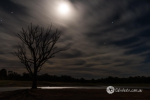 Landscapes Trees Lakes-50