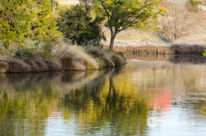 Nature-9