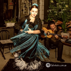 flamenco