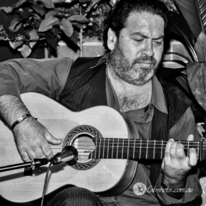 flamenco