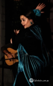 flamenco