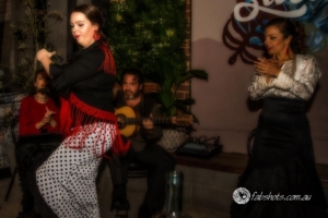flamenco