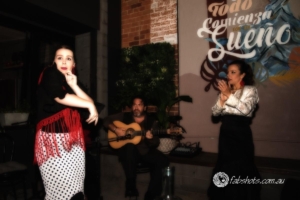 flamenco