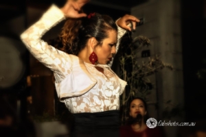 flamenco